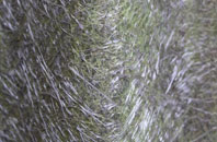 Murton Grange fibreglass roof work